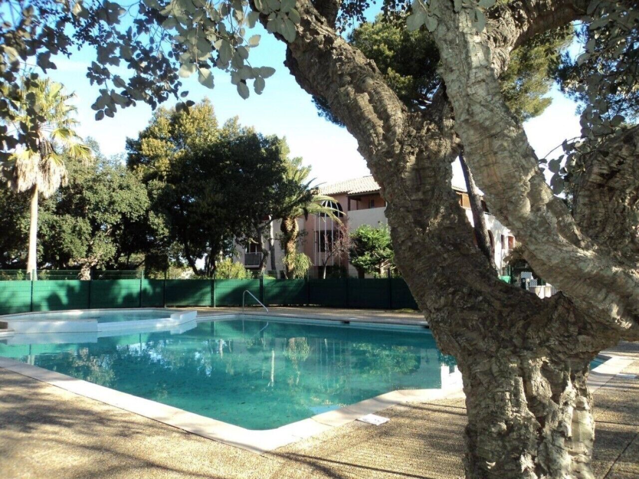 A swimming pool surrounded by trees and a building in the background.