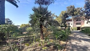 Un jardín con una palmera, una escultura de metal y un edificio al fondo.