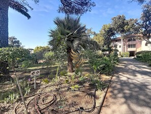 Ein Garten mit einer Palme, einer Metallskulptur und einem Gebäude im Hintergrund.