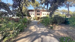 Un camino conduce a un edificio con una entrada arqueada central, rodeado de abundante vegetación y árboles.