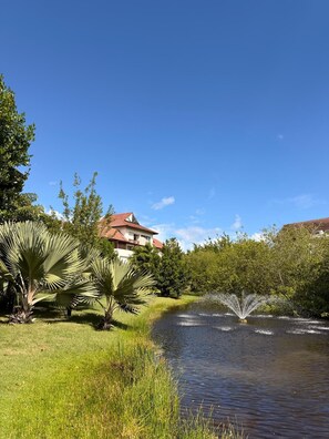 Property grounds - Cozy studio at Portillo, Las Terrenas (Las Terrenas. El Portillo Residences.)