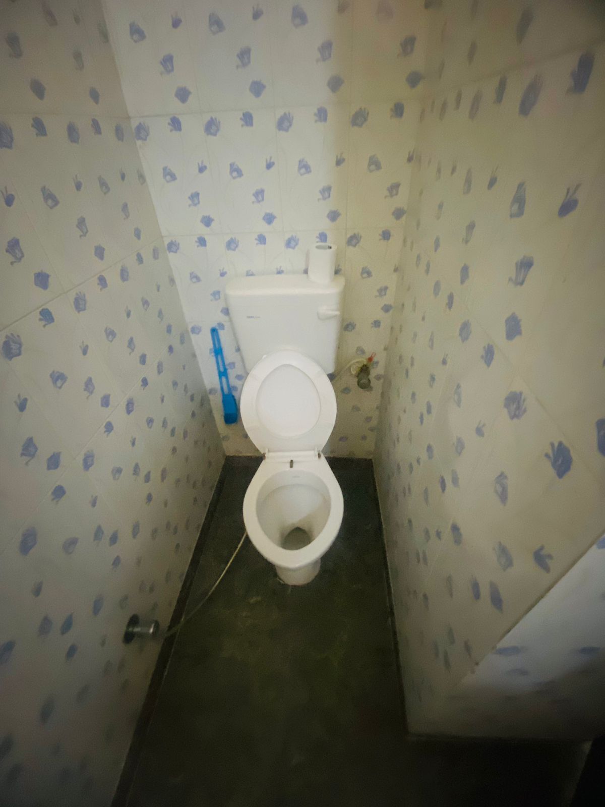 Een kleine, smalle badkamer met een toilet, een blauw schoonmaakmiddel en behang met een patroon.