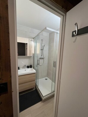 Shower, hair dryer, soap, toilet paper - Cosy, chalet-style family apartment. Start with skis on. Garage included (Huez)