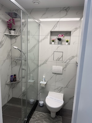 Shower, hair dryer, towels, soap