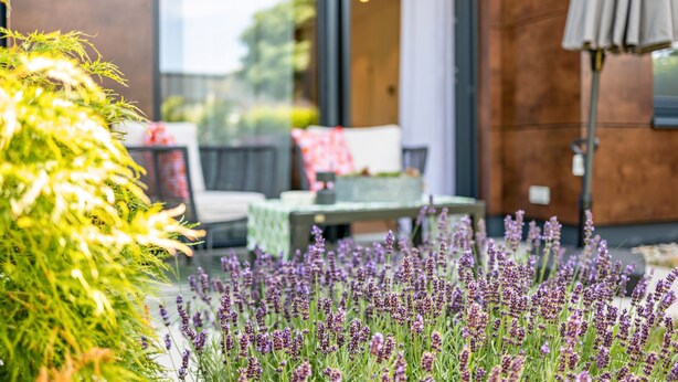 A modern building with a glass door, a patio with a table and chairs, and a garden with lavender plants. - Apartment Nest20 with Private Terrace and Wi-Fi (Ettenheim)