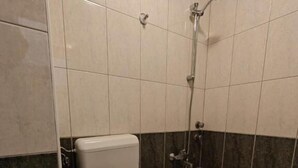 A bathroom with a toilet, a bathtub, and a shower. - Ariston Hotel (Misleshevo)