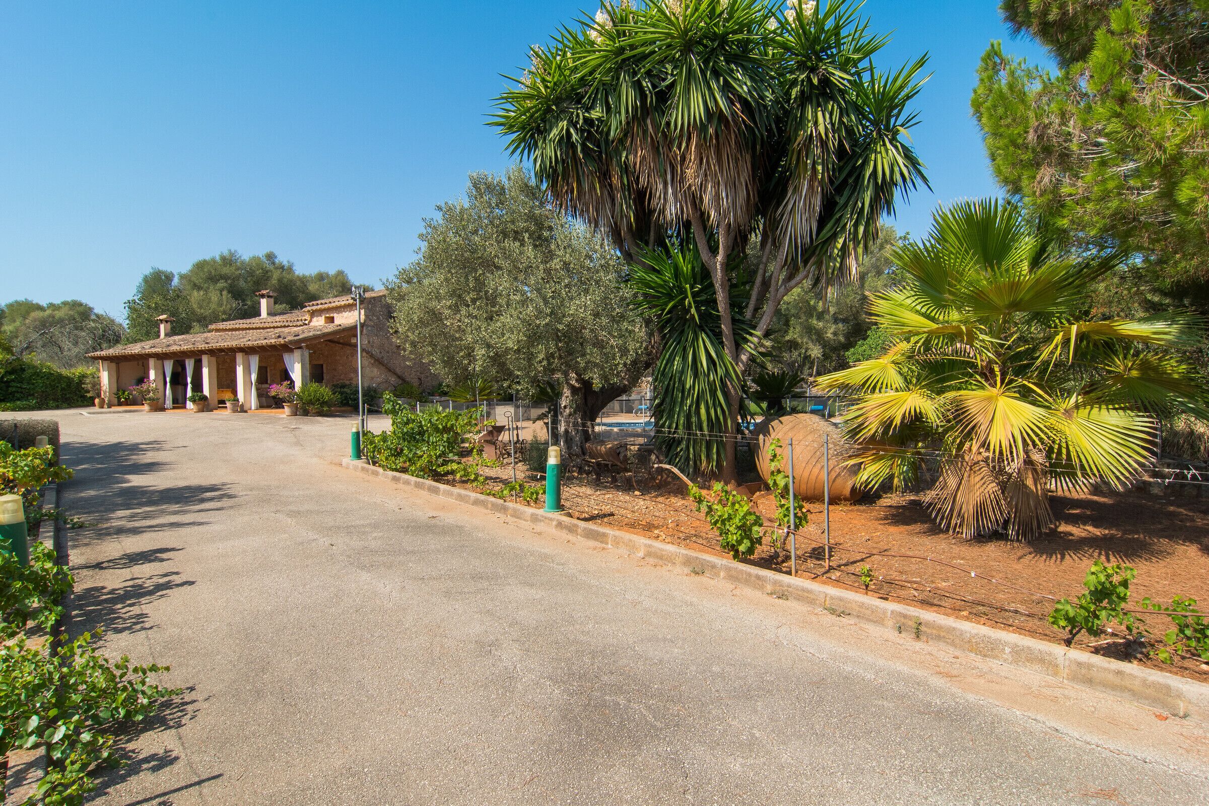 Une allée pavée mène à un bâtiment orné de colonnes, qui est entouré de divers arbres et plantes.