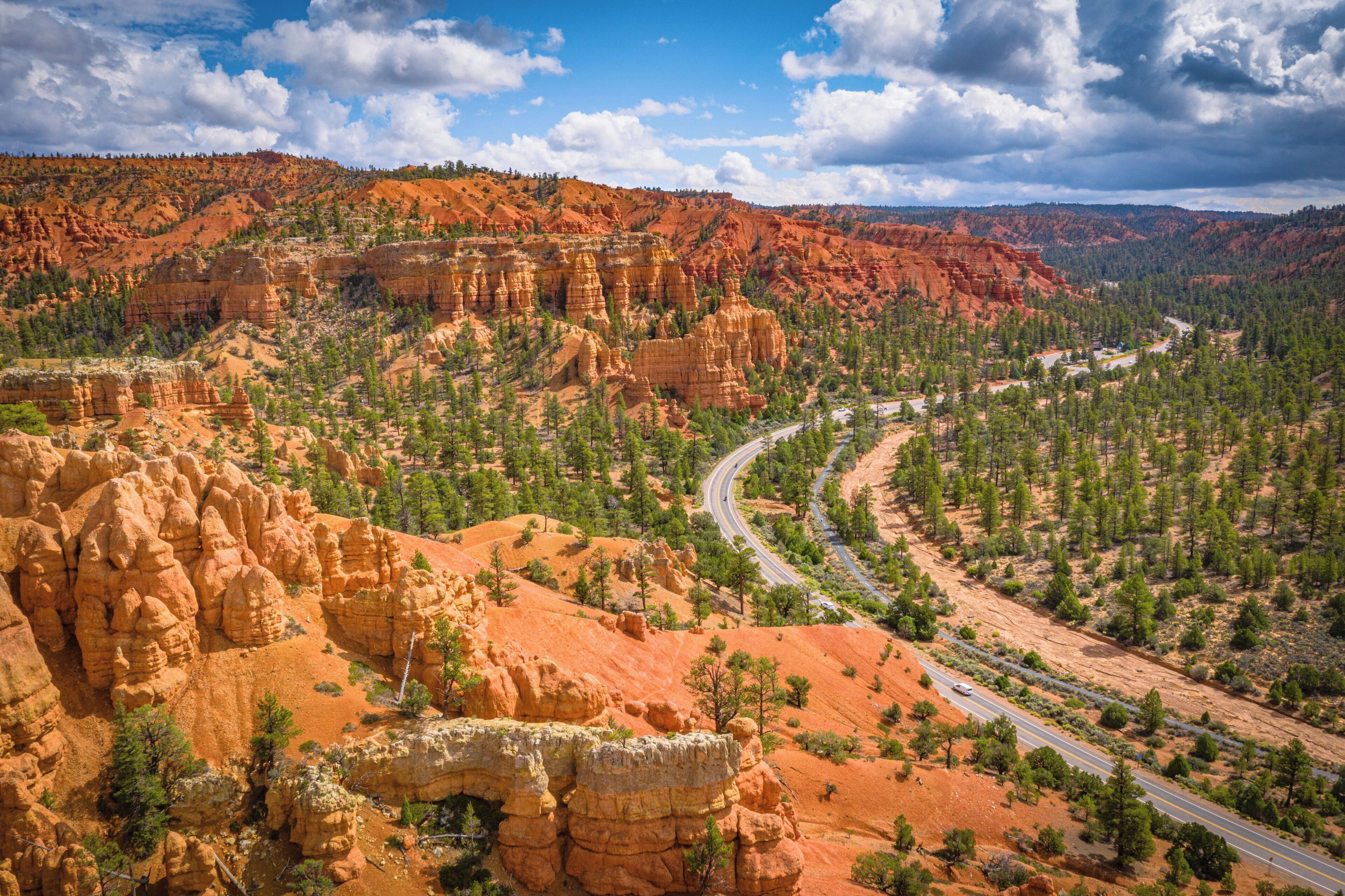 A canyon landscape with red rock formations, a winding road, and scattered trees.