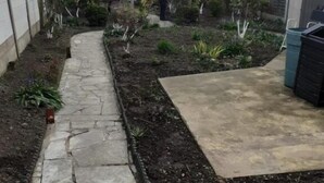 Een tuin met een pad van stenen, verschillende planten en een betonnen terras.