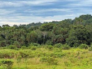 Miscellaneous - Kibale Riverside Camp (Kibale)