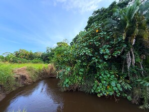 A river with dense vegetation and trees on both sides. - Kibale Riverside Camp (Kibale)