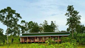 A single-story building with a green roof, surrounded by lush greenery and trees. - Kibale Riverside Camp (Kibale)