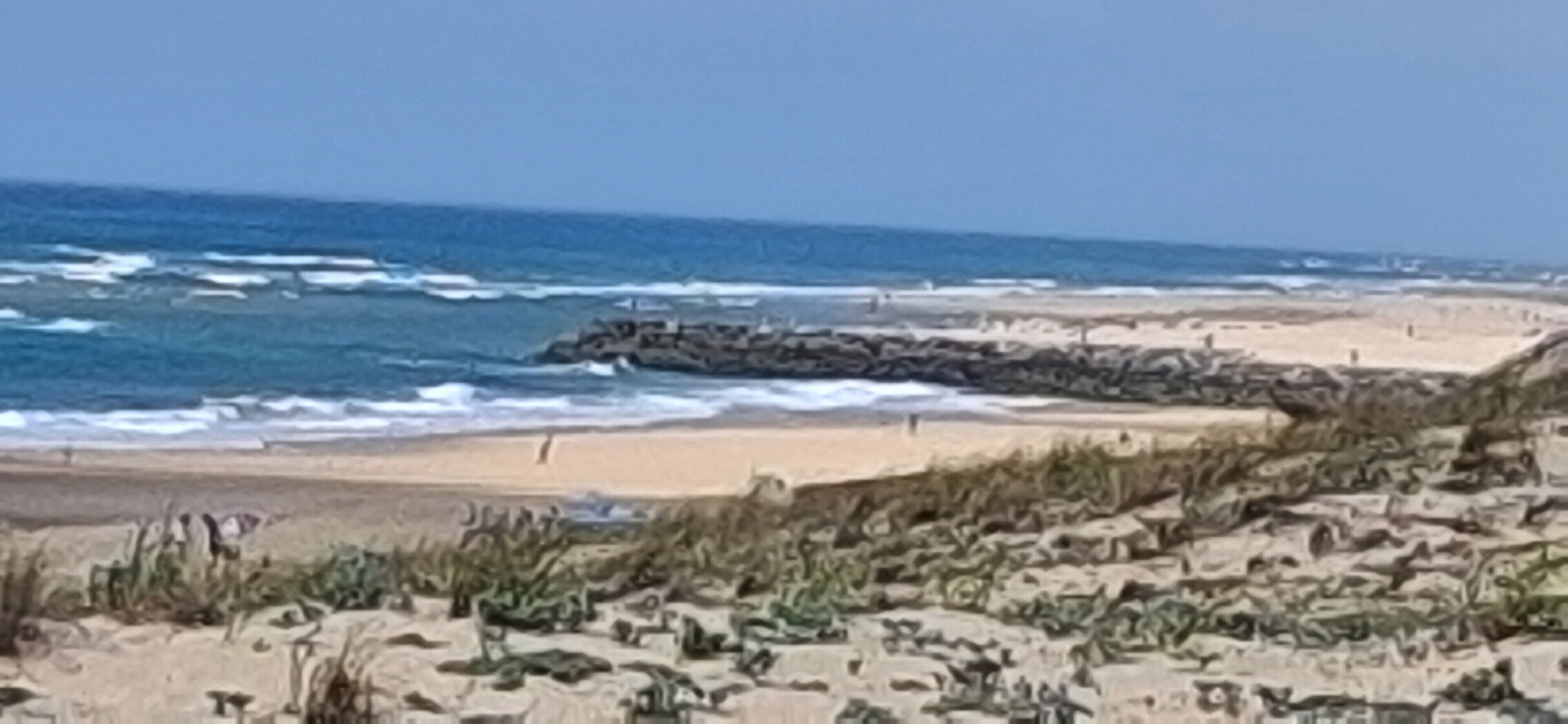 Una playa con olas, una orilla arenosa y algo de vegetación.
