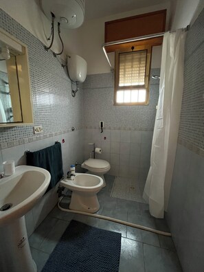 Dusche, Haartrockner, Bidet, Handtücher