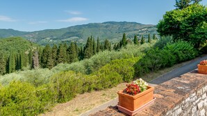 A scenic view with a stone wall, potted plants, and a pathway leading to a mountainous landscape. - Spacious Apartment with View in Chianti and Pool (Pontassieve)
