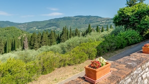 Una vista panoramica con un muro di pietra, piante in vaso e un sentiero che conduce verso un paesaggio montuoso.