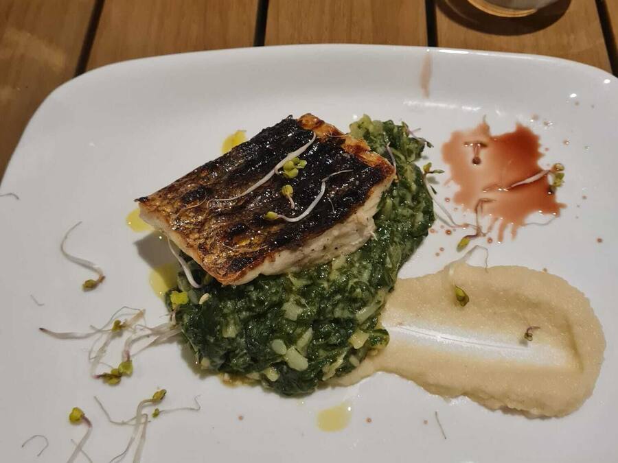 A white plate with a piece of grilled fish, green vegetables, and a creamy side dish.