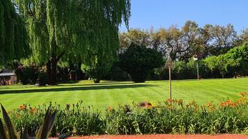 Basic Double Room, Garden View | View from room