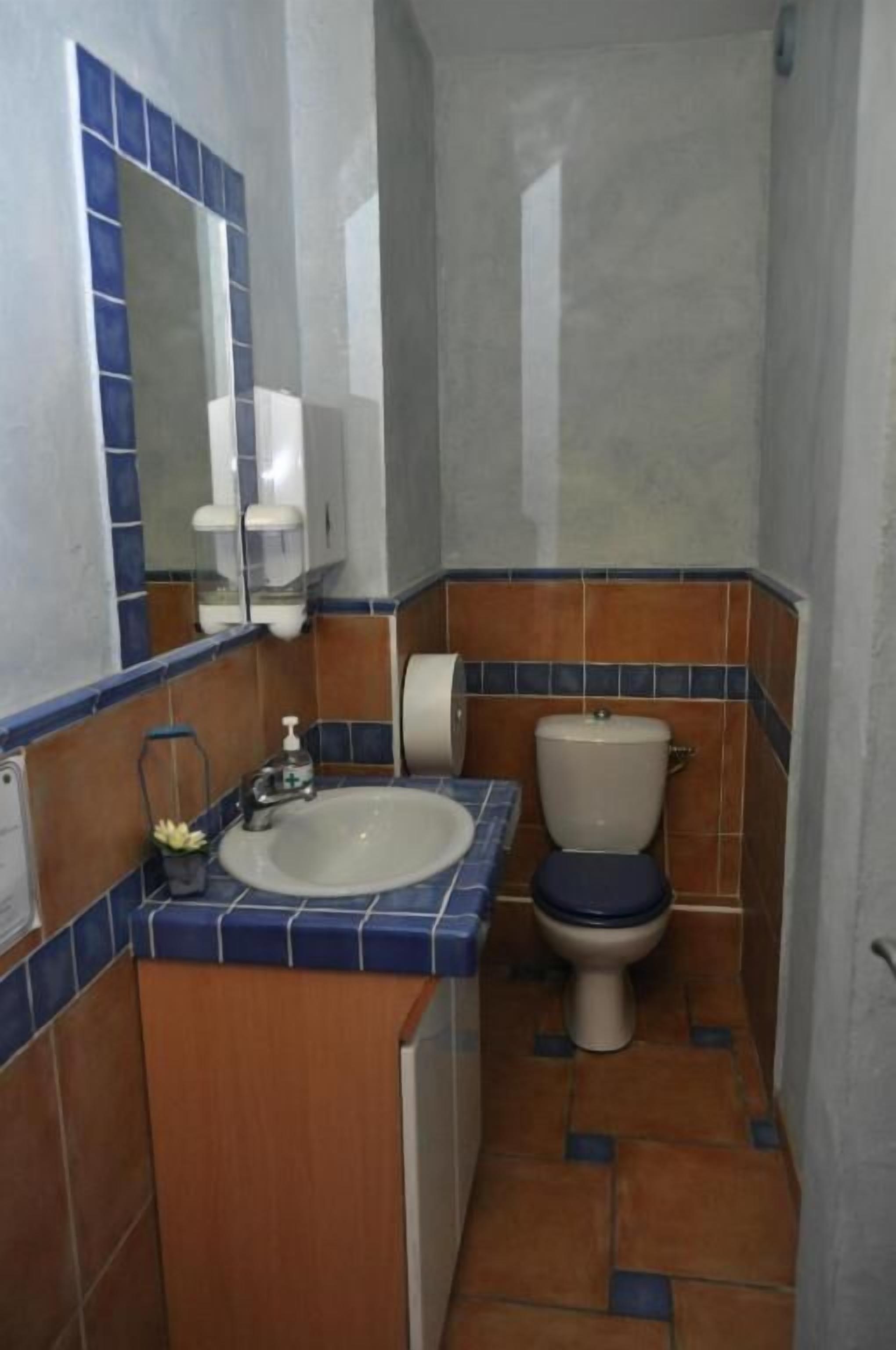 A small bathroom with a sink, toilet, and mirror.