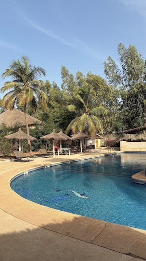 Una piscina con sillas de descanso y sombrillas de paja, rodeada de palmeras y follaje.