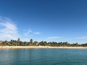 Una playa con aguas cristalinas, palmeras y una orilla arenosa.