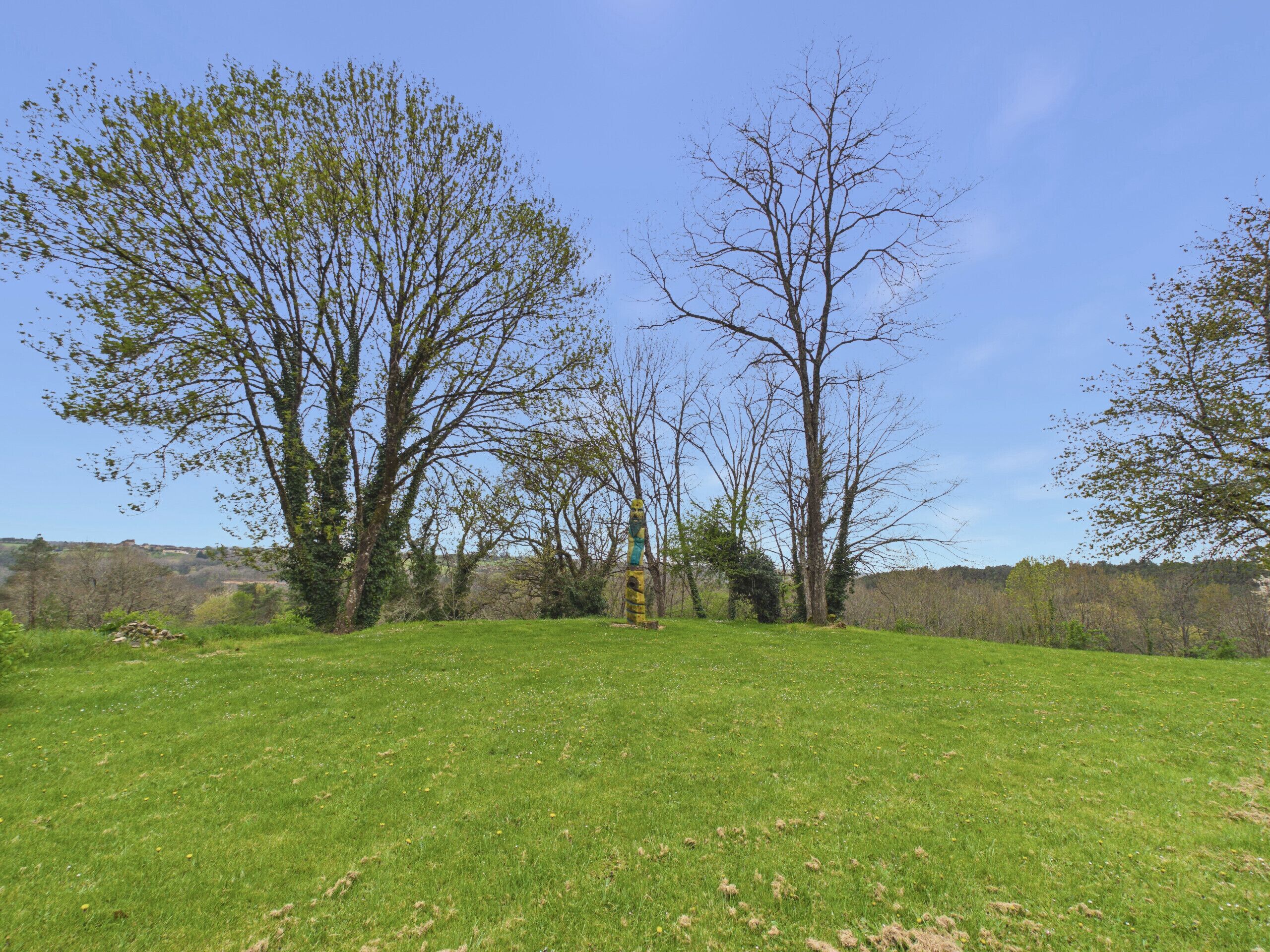 A grassy field with trees and a clear sky.