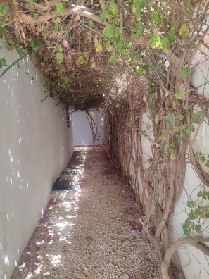 Property grounds - House 3 Ch. 3 SdeB Swimming pool Personal and WiFi fiber LA SOMONE Senegal (Somone)