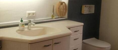 A bathroom with a sink, mirror, and toilet.