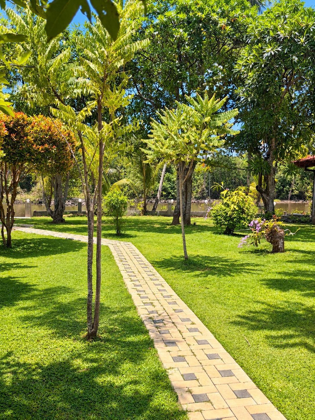 A well-maintained garden with a paved walkway, various trees, and a clear sky.