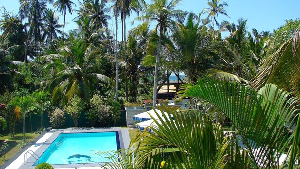 A swimming pool surrounded by palm trees and a clear blue sky. - Villa Estuary (Bentota)