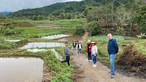 Un grupo de personas caminando por un sendero a través de un paisaje rural con campos en terrazas y una colina al fondo.