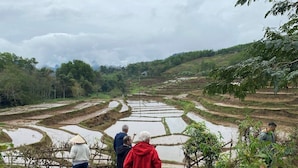 Campos de arroz escalonados con un grupo de personas observando.