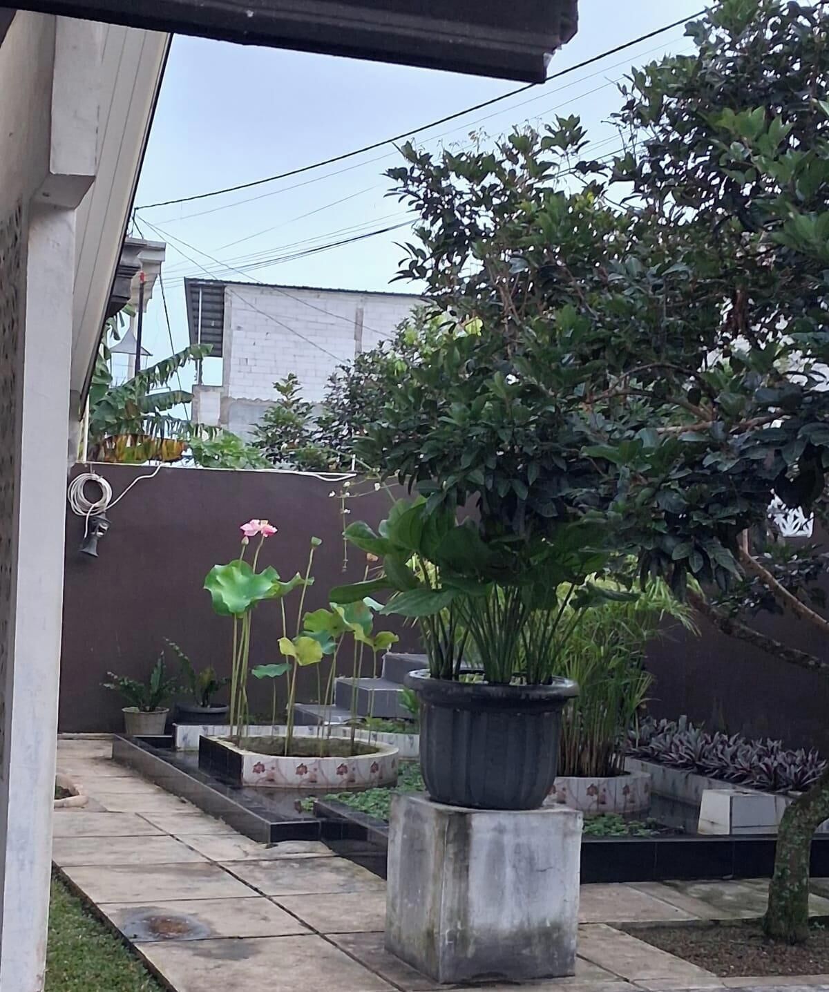 Villa | Property grounds