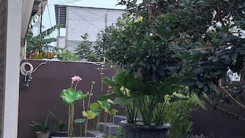 Villa | Property grounds