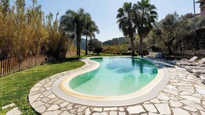Piscina com borda de pedra, cercada por palmeiras e um muro de madeira.