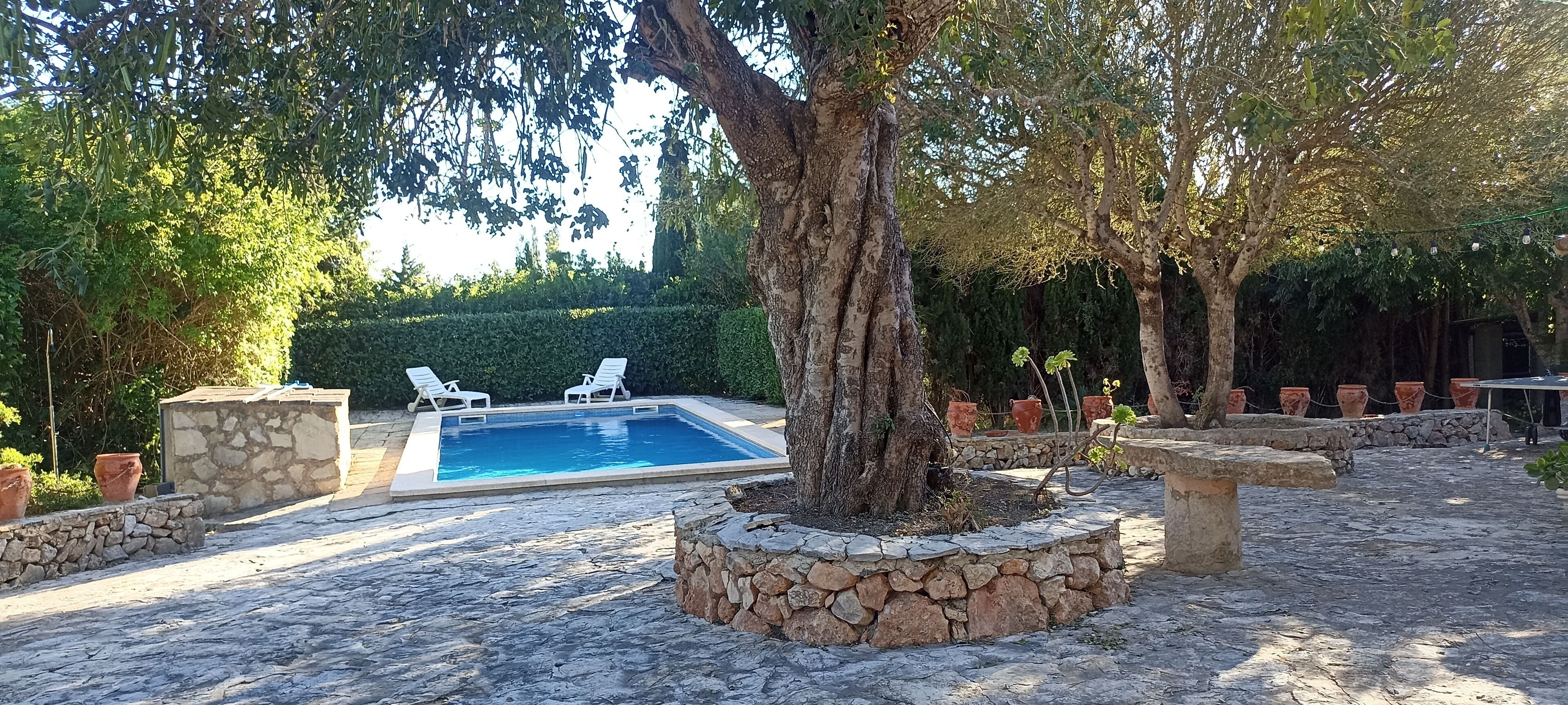 Zwembad