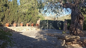 Un camino de piedra que conduce a una entrada con puerta, rodeado de plantas en macetas y árboles.