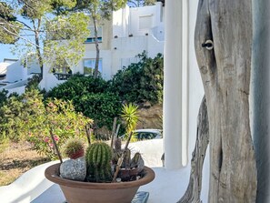 A potted cactus collection on a balcony with a white building and greenery in the background. - Traditionelles Haus El Vaixell - Terrassen mit Aussicht by Interhome (San José Ibiza)