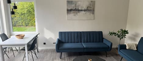 Fernseher