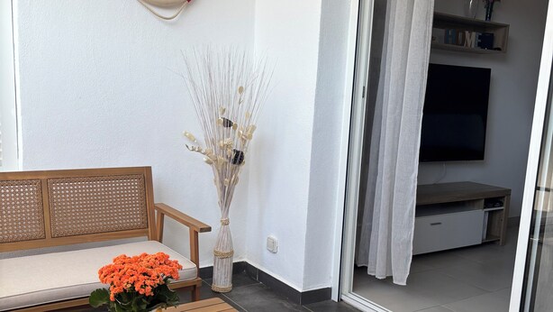Eine Holzbank, ein Tisch mit einer Topfpflanze, ein Rattan-Sofa und ein Rettungsring an der Wand.
