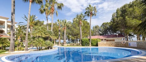 A swimming pool surrounded by palm trees and a stone wall.