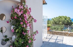 Exterior detail - Il Cavaliere - Fantastic sea view, pool, beach only 5 minutes on foot (Lacona)