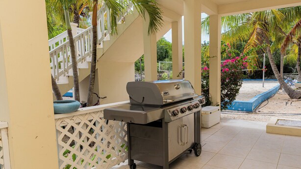 A patio area with a portable grill, a white lattice fence, and palm trees. - Cozy home/Pool/Volleyball court/ near the beach (Providenciales)