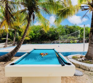 A pool table with balls, surrounded by palm trees and a beach volleyball net. - Cozy home/Pool/Volleyball court/ near the beach (Providenciales)