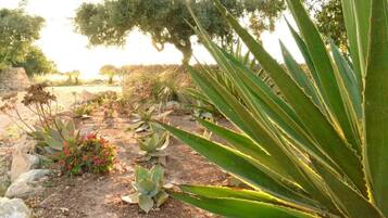 Classic Apartment, Garden View | Kawasan hartanah