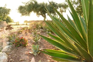 Apartemen Klasik, pemandangan kebun | Halaman properti