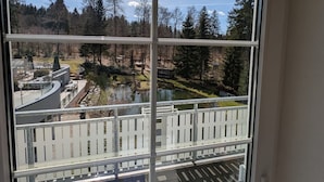 A room with a large window overlooking a balcony with a white railing and a view of a forested area. - Apartment in A Hotel 'Pensionszimmer 24 Qm Mit Balkon (copy)' with Shared Garden, Balcony and Wi-Fi (Suhl)