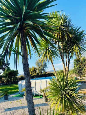A pool area with palm trees and a clear sky. - A cozy retreat near Braga • 2 bedrooms - Up to 5 people   (Crespos)