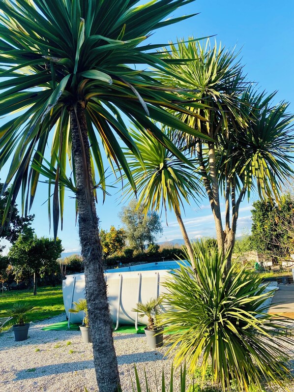 A pool area with palm trees and a clear sky. - Comfortable getaway near Braga • 2 bedrooms - Up to 5 people (Crespos)