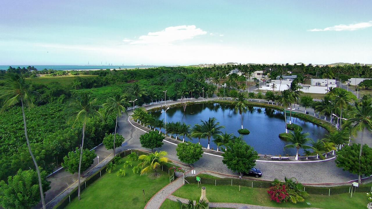 A circular water feature surrounded by greenery and palm trees, with a road encircling it.